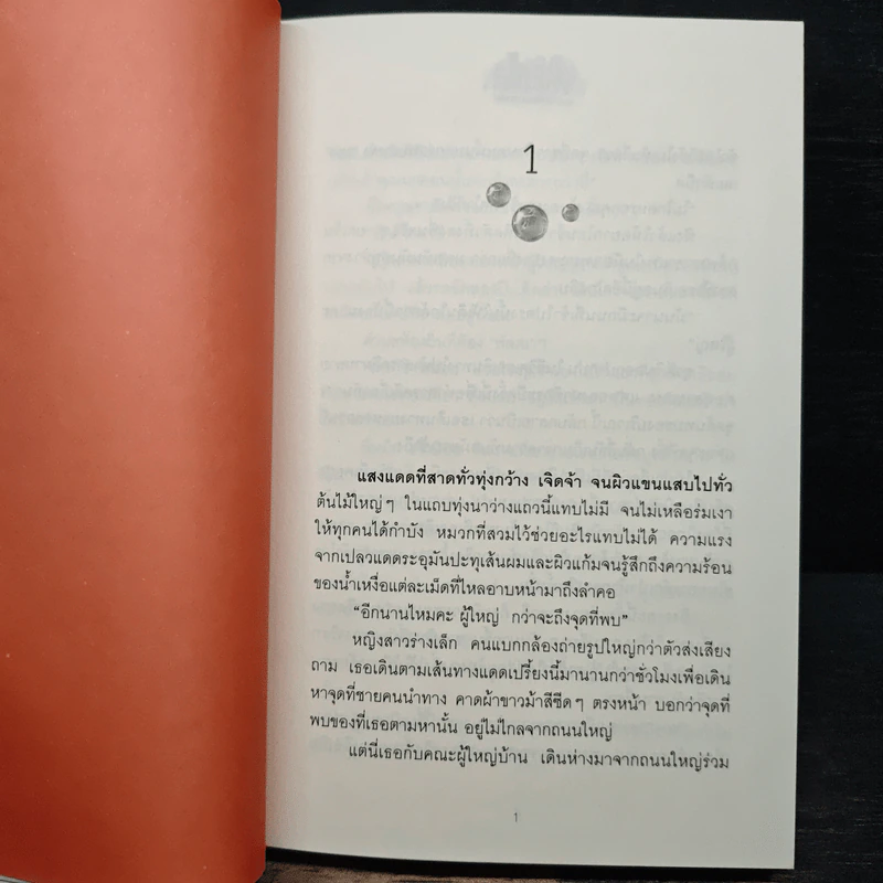 อขิทโร ลูกปัดมนตรา - วรรณวรรธน์ รูปที่ 7