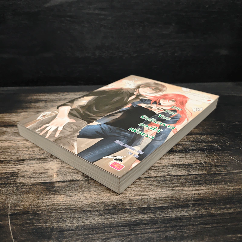 Die For You รักอันตรายยอมได้เพื่อเธอ - Hideko_Sunshine รูปที่ 4