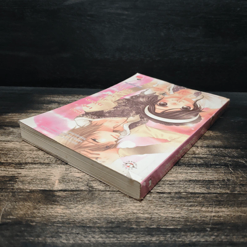 Thief Lady ปฏิบัติการปล้นหัวใจนายจอมโฉด - Hideko_Sunshine รูปที่ 5