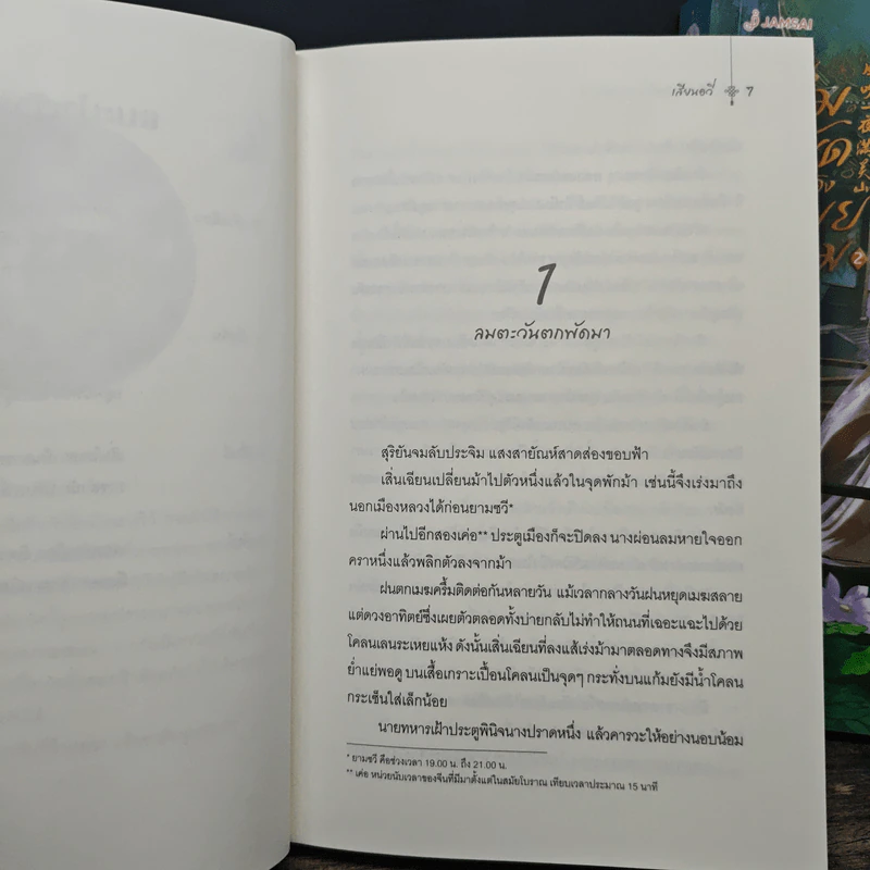 คืนลมพัดต้องเหมยงาม 2 เล่มจบ - เสียนอวี่ รูปที่ 7