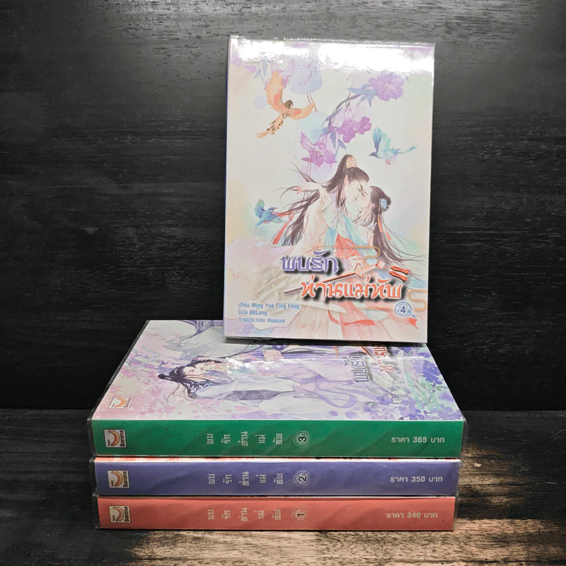 พบรักท่านแม่ทัพ 4 เล่มจบ - Ming Yue Ting Feng รูปที่ 1