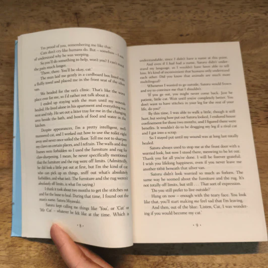 The Travelling Cat Chronicles - Hiro Arikawa รูปที่ 7