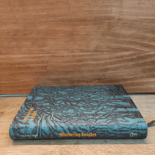 Wuthering Heights วุธเธอริงไฮตส์ - เอมิลี บรองเต้ รูปที่ 2