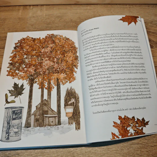 80 ต้นไม้รอบโลก Around the World in 80 Trees - Jonathan Drori รูปที่ 9