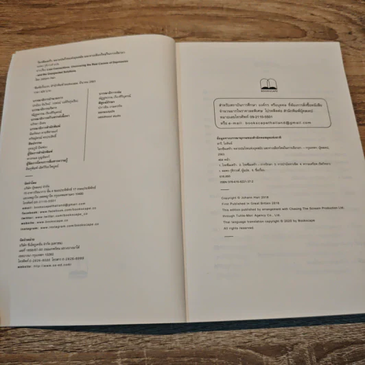 โลกซึมเศร้า คลายปมโรคแห่งยุคสมัย และทางเลือกใหม่ในการเยียวยา - Johann Hari รูปที่ 6