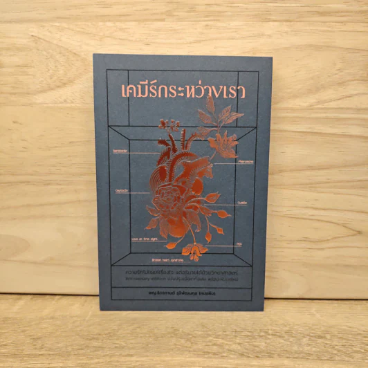 เคมีรักระหว่างเรา - พญ.ธิดากานต์ รุจิพัฒนกุล รูปที่ 1
