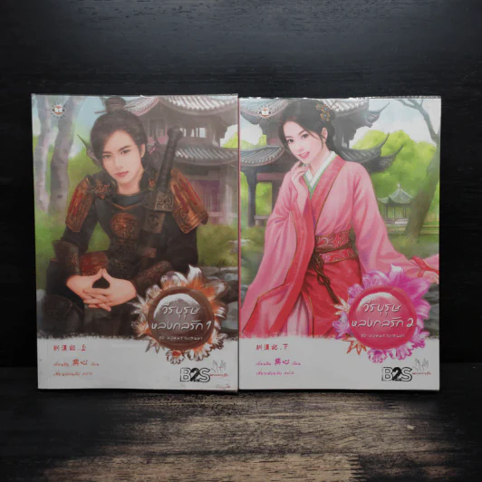 วีรบุรุษหลงกลรัก 2 เล่มจบ - เตี่ยนซิน รูปที่ 1