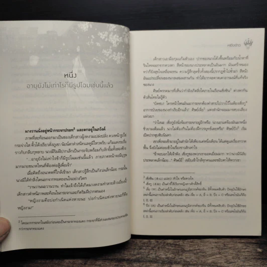 เส้นทางยุทธภพช่างคดเคี้ยวนัก - หยิ่งจ้าว, Sydneylove รูปที่ 7