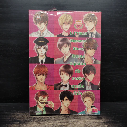 U-Prince Memory Story สิบสองหนุ่มฮอตกับภารกิจสานต่อหัวใจ รูปที่ 1