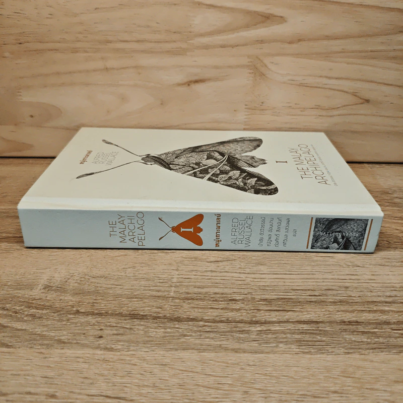 The Malay Archipelago 1 หมู่เกาะมาเลย์ - อัลเฟรด รัสเซล วอลเลซ รูปที่ 2