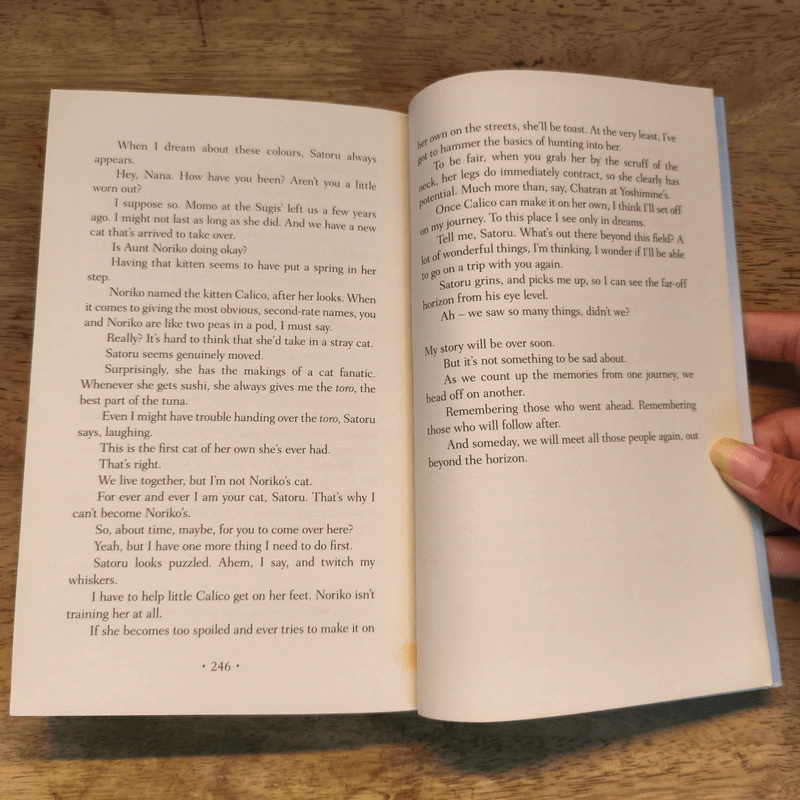 The Travelling Cat Chronicles - Hiro Arikawa รูปที่ 8