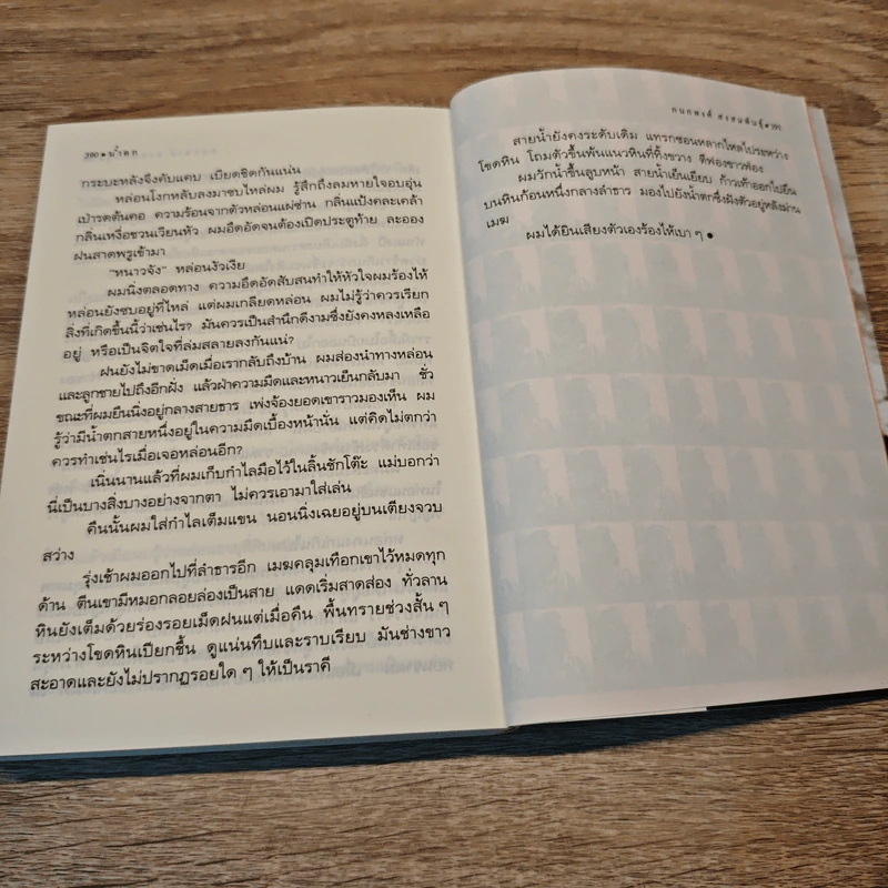 แผ่นดินอื่น - กนกพงศ์ สงสมพันธุ์ รูปที่ 8
