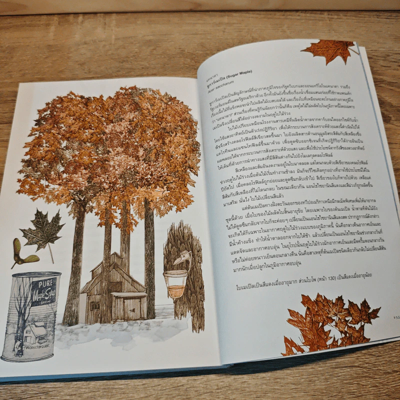 80 ต้นไม้รอบโลก Around the World in 80 Trees - Jonathan Drori รูปที่ 9