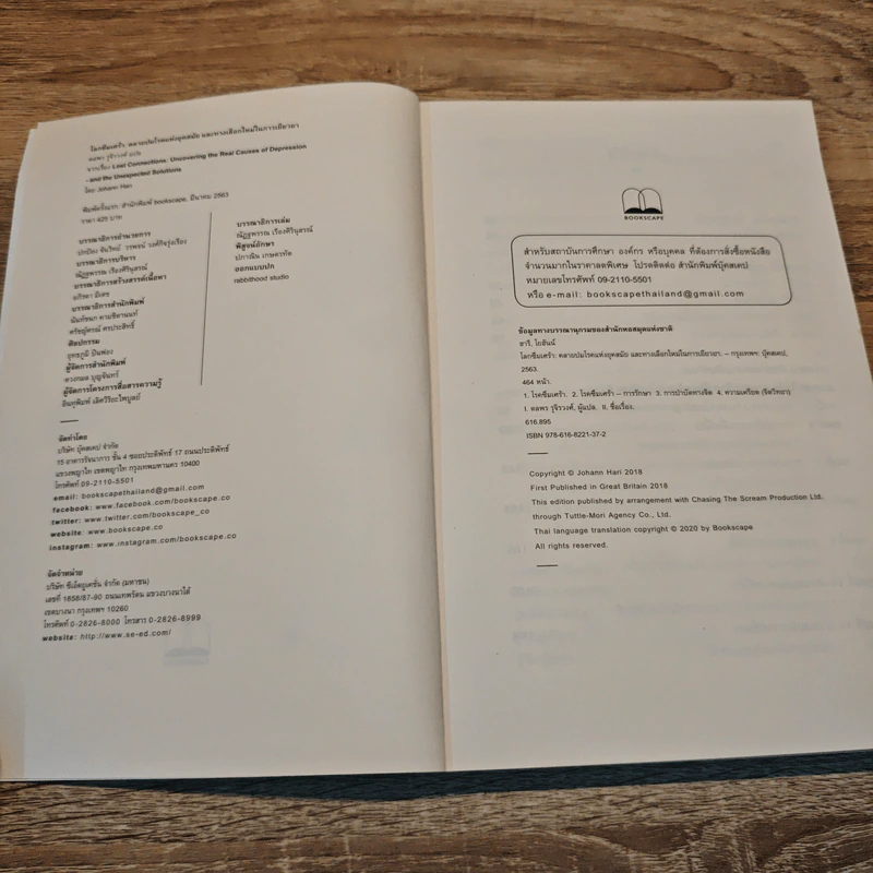 โลกซึมเศร้า คลายปมโรคแห่งยุคสมัย และทางเลือกใหม่ในการเยียวยา - Johann Hari รูปที่ 6