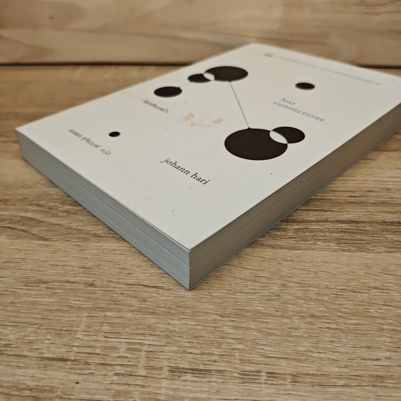 โลกซึมเศร้า คลายปมโรคแห่งยุคสมัย และทางเลือกใหม่ในการเยียวยา - Johann Hari รูปที่ 3