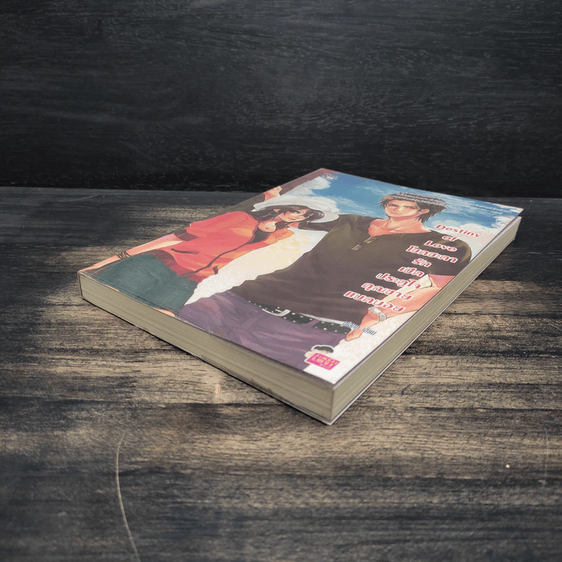 Destiny of Love โชคชะตารักเปิดประตูใจคุณชายแบดบอย - piano รูปที่ 4