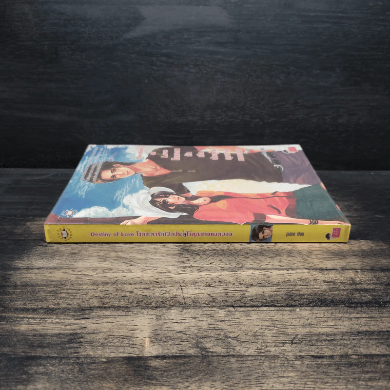 Destiny of Love โชคชะตารักเปิดประตูใจคุณชายแบดบอย - piano รูปที่ 3