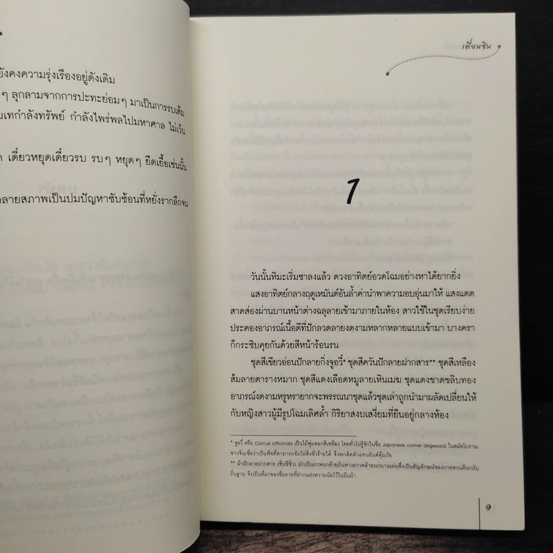 สุดรักแสนแค้น - เตี่ยนซิน รูปที่ 8