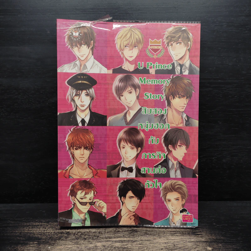 U-Prince Memory Story สิบสองหนุ่มฮอตกับภารกิจสานต่อหัวใจ รูปที่ 1