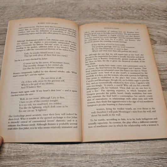 Romeo and Juliet - William Shakespeare รูปที่ 7