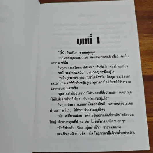 หนุ่มดุสาวดื้อ - จามรี พรรณชมพู รูปที่ 7