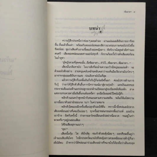 พิมมาลา - แก้วเก้า รูปที่ 7