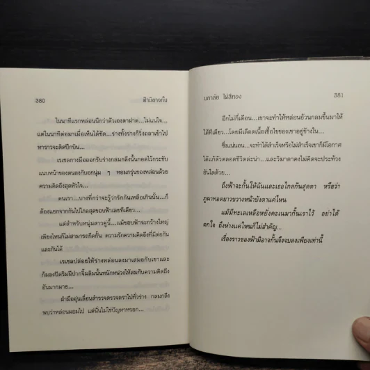 ฟ้ามิอาจกั้น - นภาลัย ไผ่สีทอง รูปที่ 8