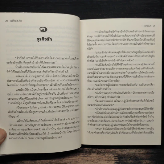 แม่สื่อแสนรัก - มณีจันท์ รูปที่ 8