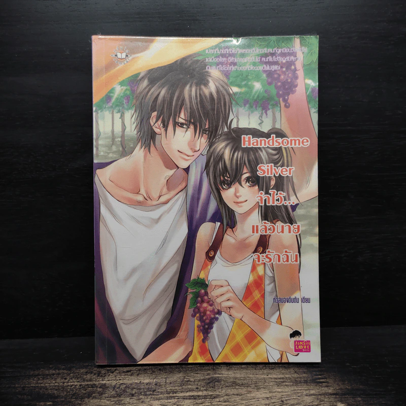 Handsome Silver จำไว้...แล้วนายจะรักฉัน - หัวสมองตีบตัน รูปที่ 1