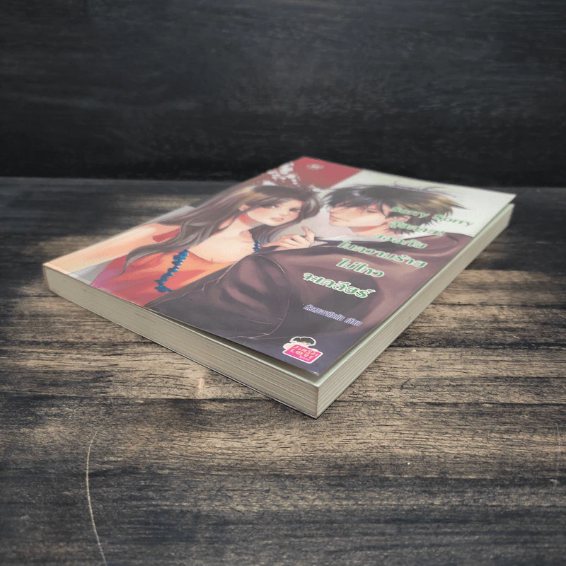 Sorry Sorry อุ๊ยตาย ขออภัยในความร้ายไม่ไหวจะเคลียร์ - หัวสมองตีบตัน รูปที่ 4