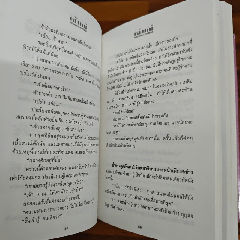 เจ้าแม่ - ทมยันตี รูปที่ 8