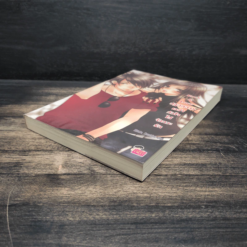 Rock&Love ปฏิบัติการเขย่าหัวใจใส่จังหวะรัก - Hideko_Sunshine รูปที่ 4