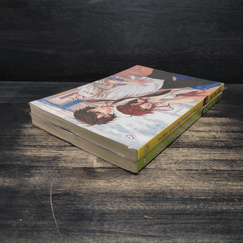 So Kiss ฝากรักเคียงใจนายบอดี้การ์ด 2 เล่มจบ - May 112 รูปที่ 5