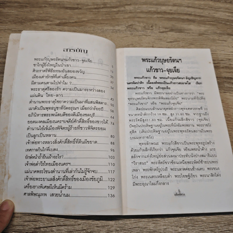 อดีตพิศวง - น้าแปลก รูปที่ 8