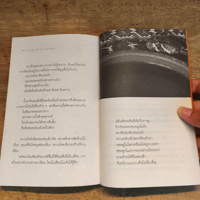 บุตรธิดาแห่งดวงดาว - เสกสรรค์ ประเสริฐกุล รูปที่ 9