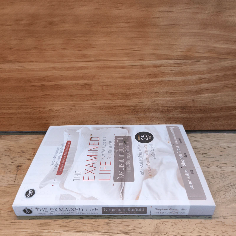 The Examined Life ใจคนเรายากเย็นเกินไป (และนี่คือเหตุผลว่าทำไม) - Stephen Grosz รูปที่ 2