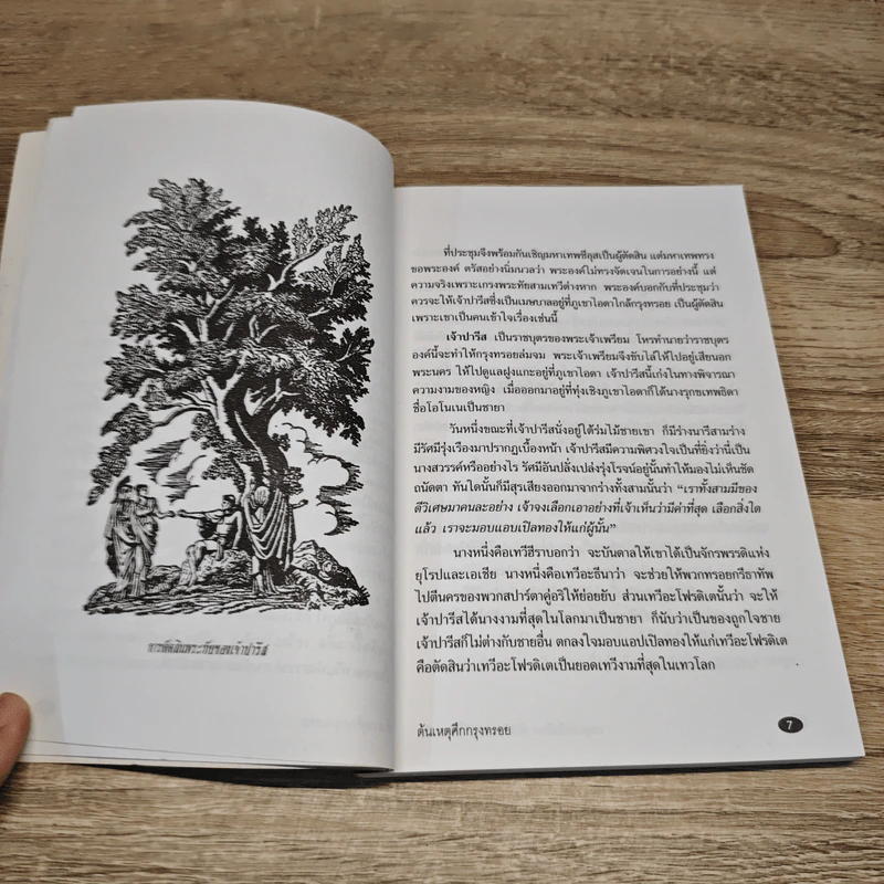 เหตุแห่งอีเลียด กับตำนานปรัมปรากรีก - นายตำรา ณ เมืองใต้ รูปที่ 8
