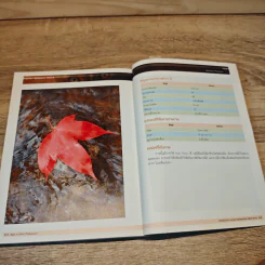 Basic in DSLR Photography รูปที่ 10