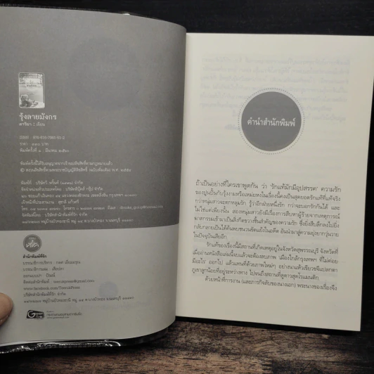 รุ้งลายมังกร - ดาริยา รูปที่ 6