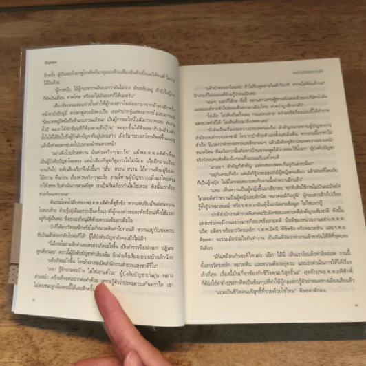 พยัคฆ์ร้ายหวานใจ - ตันหยง รูปที่ 7