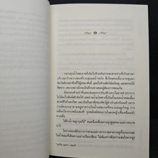 ดาราแดง - ศรีสุรางค์ รูปที่ 7