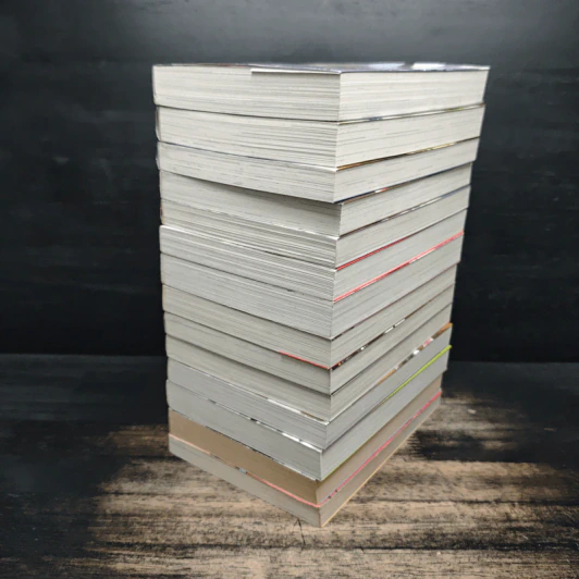 โชเน็น อนเมียวจิ จอมเวทปราบมาร เล่ม 1-14 รูปที่ 3