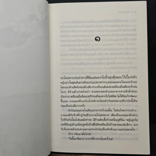 ลมซ่อนรัก - นราเกตต์ รูปที่ 7