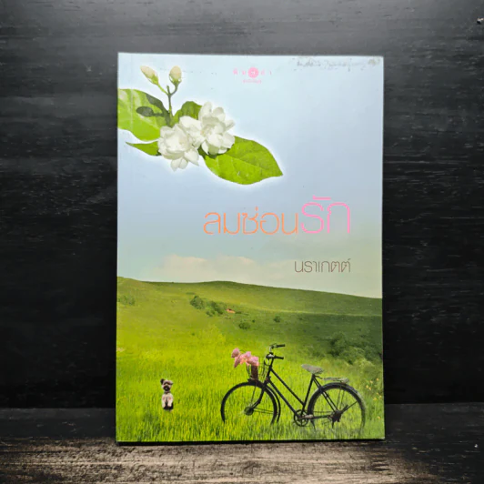 ลมซ่อนรัก - นราเกตต์ รูปที่ 1