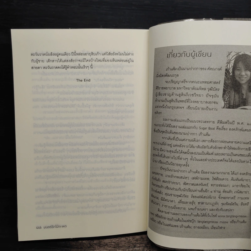 มนตร์รักไม้ตะพด - เก้าแต้ม รูปที่ 8