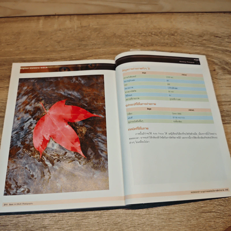 Basic in DSLR Photography รูปที่ 10