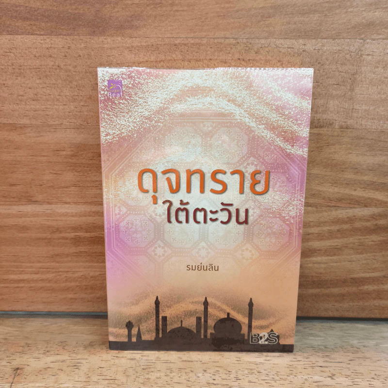 ดุจทรายใต้ตะวัน - รมย์นลิน รูปที่ 1