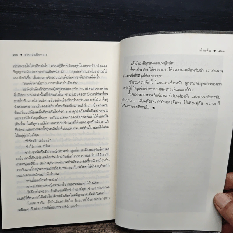 ราชาบนผืนทราย - เก้าแต้ม รูปที่ 8