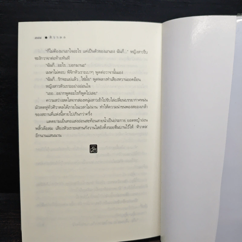 ศิวาดล - ชลนิล รูปที่ 8