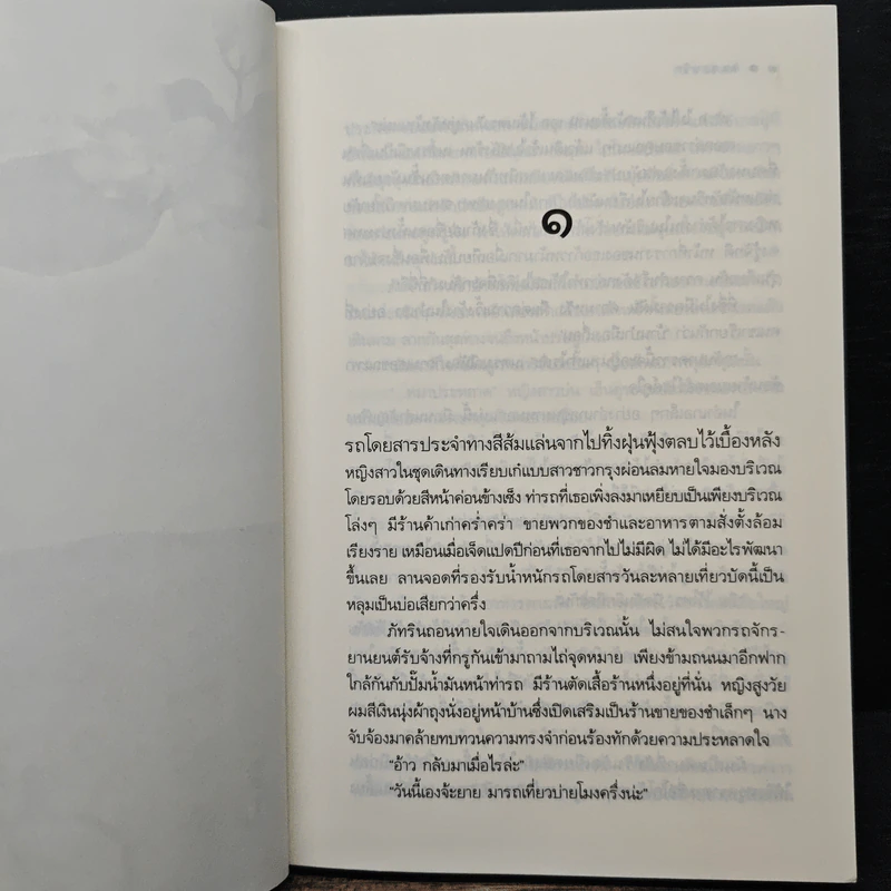 ลมซ่อนรัก - นราเกตต์ รูปที่ 7